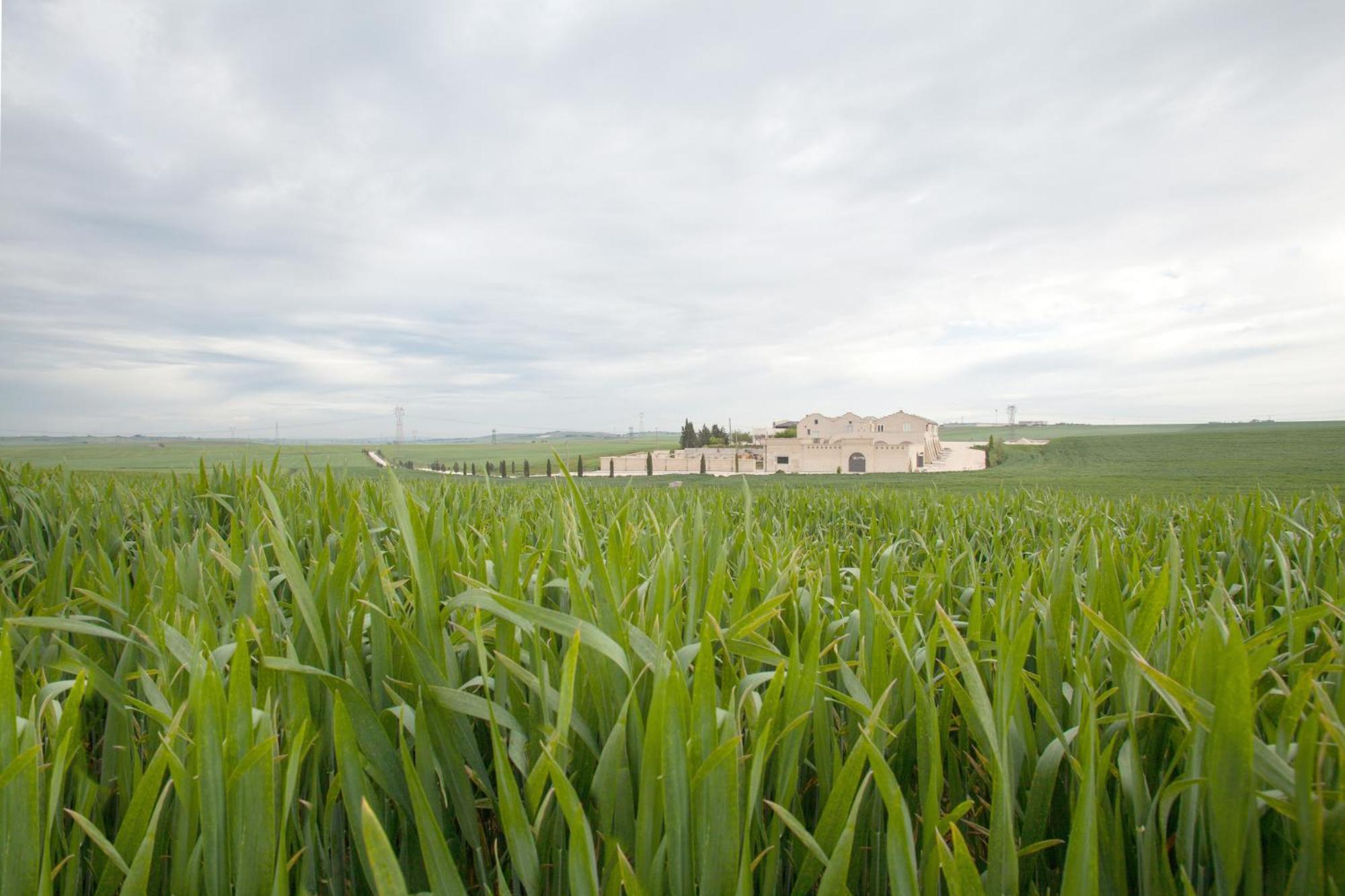 Tenuta Danesi - Camere - Appartamenti - Bubble Room Matera Exterior photo